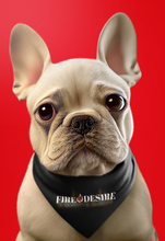 Lade das Bild in den Galerie-Viewer, FireDesire - Hundehalstuch mit Klettverschluss